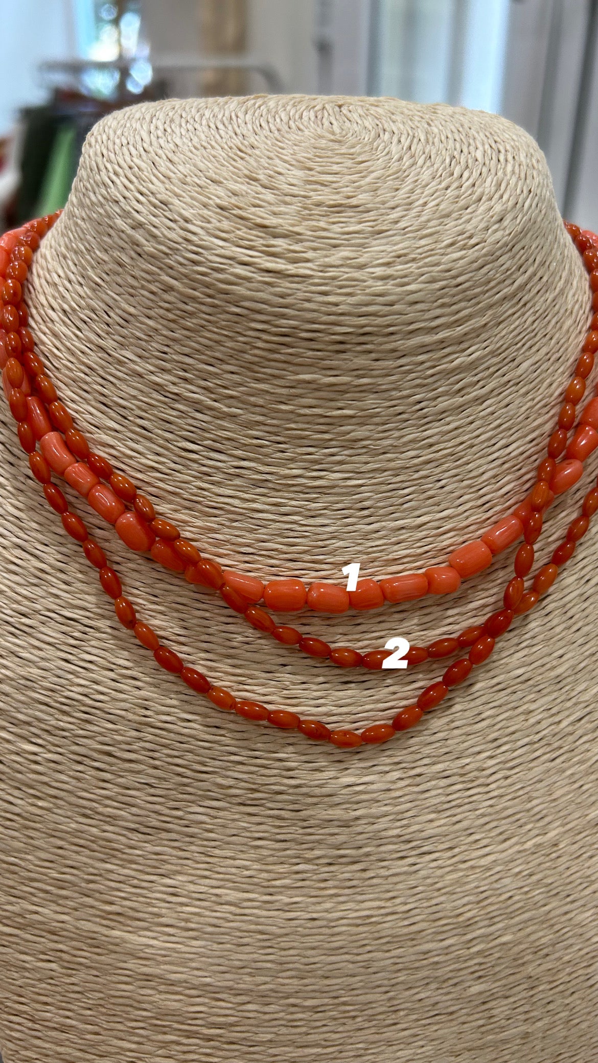 COLLAR CORAL