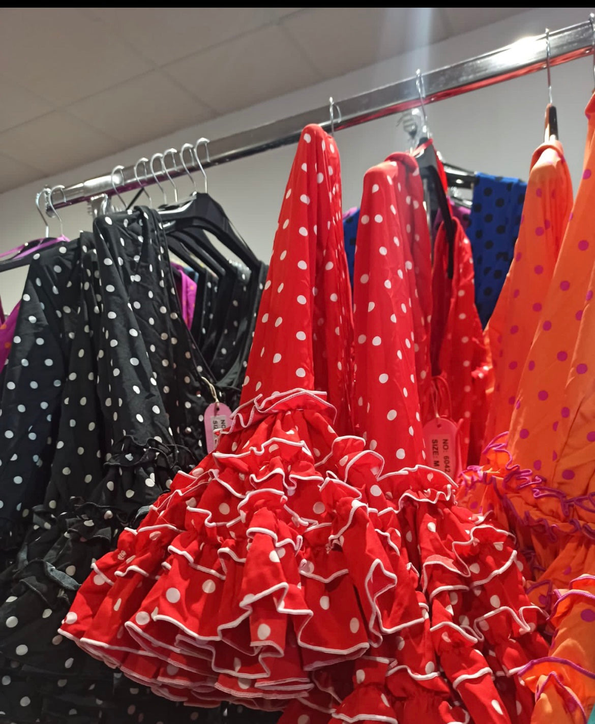 TRAJE CARMELA LUNARES CANASTERO