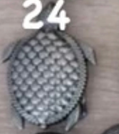 cinturón tortuga + correa negra